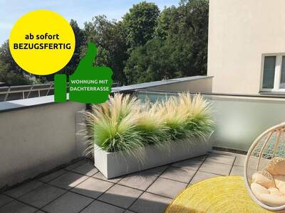 Wohnung mieten in 3300 Amstetten