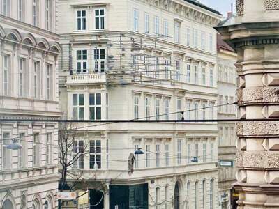 Altbauwohnung mieten in 1090 Wien (Bild 2)