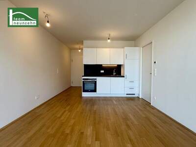 Terrassenwohnung mieten in 1100 Wien (Bild 2)