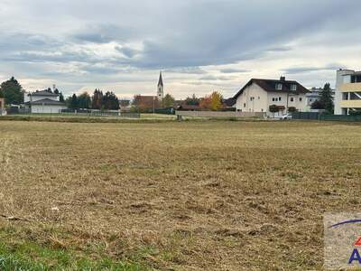 Grundstück kaufen in 4614 Marchtrenk
