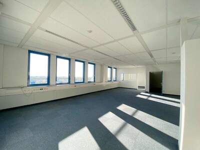 Büro / Praxis mieten in 2351 Wr. Neudorf (Bild 4)