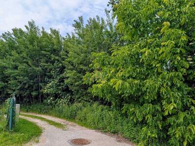 Grundstück kaufen in 4611 Buchkirchen (Bild 4)