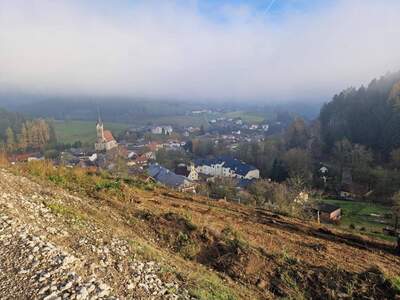 Grundstück kaufen in 4204 Reichenau