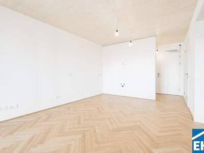 Terrassenwohnung kaufen in 1020 Wien (Bild 4)