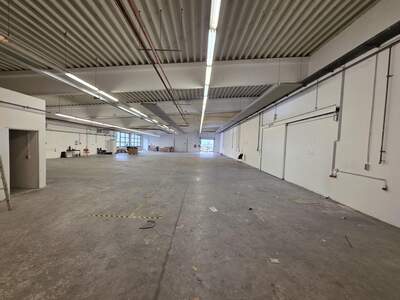Gewerbeobjekt mieten in 2753 Markt Piesting (Bild 1)