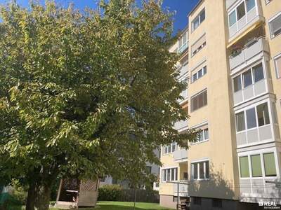 Anlageobjekt kaufen in 9800 Spittal