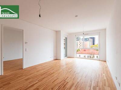 Terrassenwohnung mieten in 8020 Graz (Bild 1)