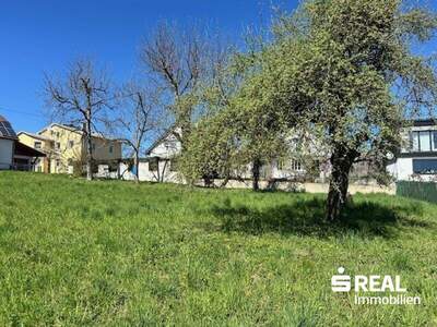 Grundstück kaufen in 4060 Leonding (Bild 2)