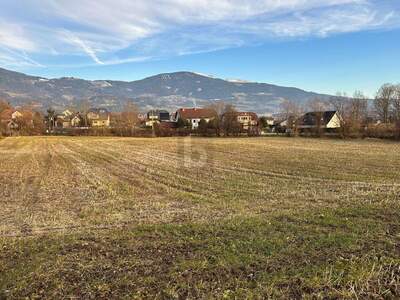 Land- und Forstwirtschaft kaufen in 9400 Wolfsberg