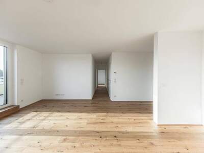 Anlageobjekt kaufen in 2540 Bad Vöslau