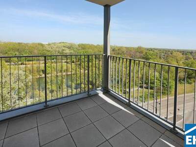 Terrassenwohnung mieten in 1030 Wien (Bild 3)