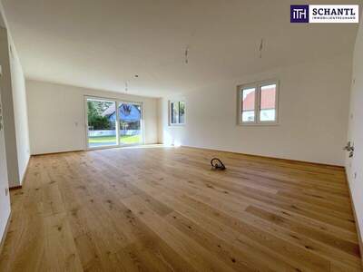 Terrassenwohnung kaufen in 1210 Wien (Bild 3)