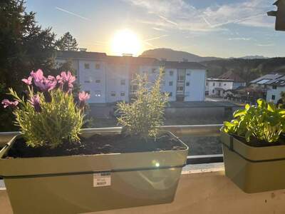 Wohnung provisionsfrei kaufen in 9584 Finkenstein