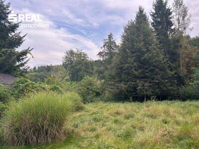 Grundstück kaufen in 8010 Graz (Bild 1)