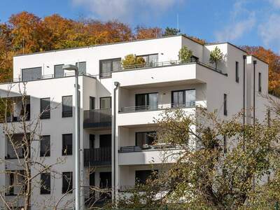 Wohnung kaufen in 2563 Pottenstein