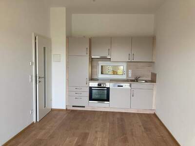 Wohnung mieten in 8020 Graz