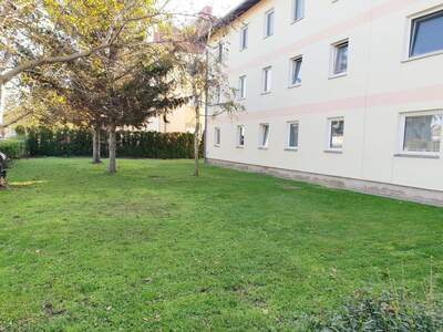 Wohnung mieten in 2514 Möllersdorf