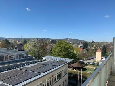 Wohnung mieten in 2102 Bisamberg