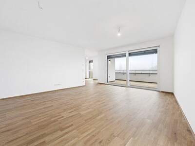 Terrassenwohnung kaufen in 2700 Wr. Neustadt (Bild 3)