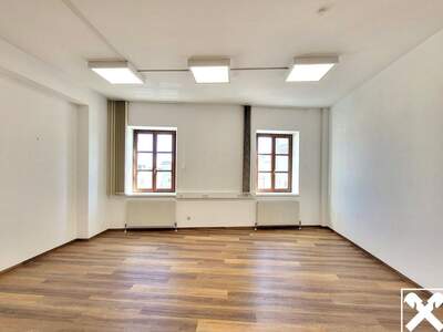 Gewerbeobjekt mieten in 4470 Enns (Bild 1)
