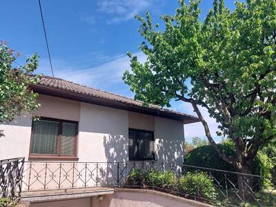 Einfamilienhaus kaufen in 4490 St. Florian (Bild 4)