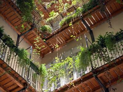 Gewerbeobjekt mieten in 1010 Wien (Bild 3)