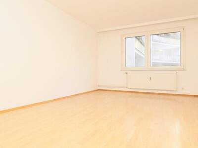 Terrassenwohnung mieten in 1080 Wien (Bild 3)