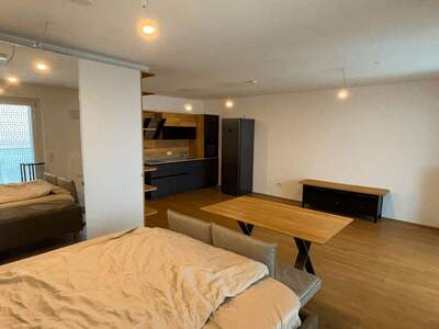 Terrassenwohnung mieten in 1020 Wien (Bild 3)