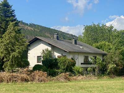 Haus kaufen in 2732 Willendorf