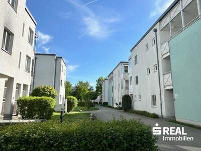 Terrassenwohnung mieten in 4040 Linz (Bild 2)
