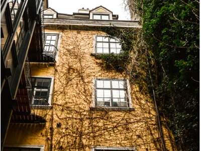 Altbauwohnung mieten in 1010 Wien (Bild 2)