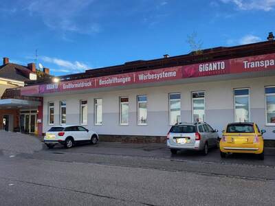 Anlageobjekt kaufen in 4910 Ried