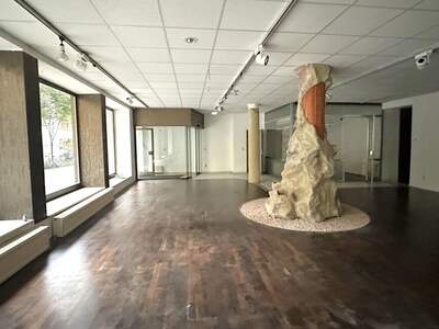 Gewerbeobjekt mieten in 1060 Wien (Bild 3)