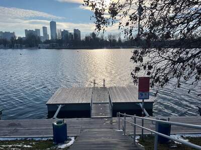 Haus mit Garten mieten in 1220 Wien (Bild 3)