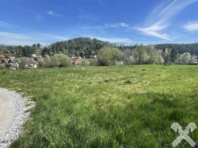 Grundstück kaufen in 8580 Köflach