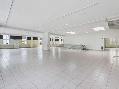 Gewerbeobjekt mieten in 2700 Wiener Neustadt (Bild 5)