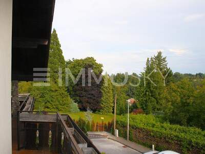 Einfamilienhaus kaufen in 4600 Thalheim (Bild 3)