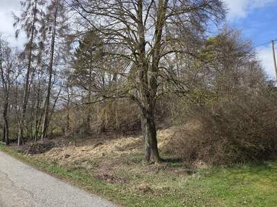 Grundstück kaufen in 4522 Sierning