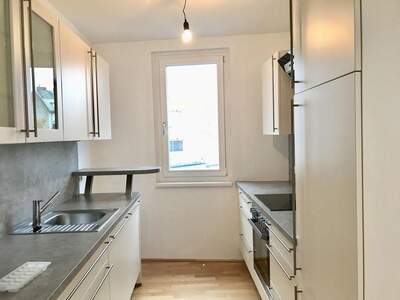 Terrassenwohnung mieten in 1230 Wien (Bild 3)