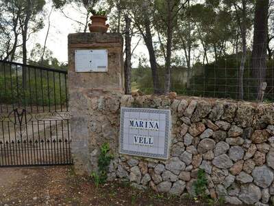 Immobilie kaufen in 7210 Algaida (Bild 4)