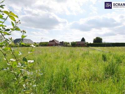 Grundstück kaufen in 8430 Leibnitz (Bild 1)