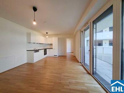 Terrassenwohnung mieten in 1020 Wien (Bild 3)