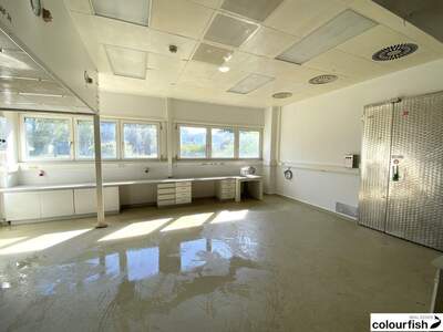 Gewerbeobjekt mieten in 1210 Wien (Bild 1)