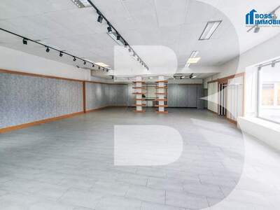 Gewerbeobjekt mieten in 4050 Traun