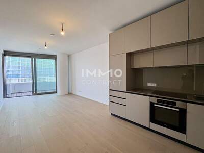 Wohnung mit Balkon mieten in 1220 Wien (Bild 1)