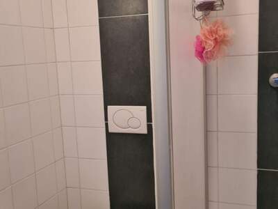 Wohnung kaufen in 4600 Wels (Bild 5)