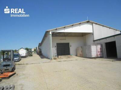 Lager kaufen in 7122 Gols (Bild 4)