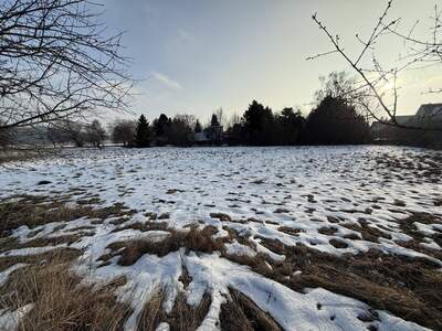 Gewerbeobjekt kaufen in 2753 Dreistetten