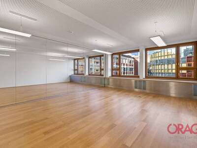 Gewerbeobjekt mieten in 1010 Wien