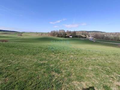 Grundstück kaufen in 4851 Gampern